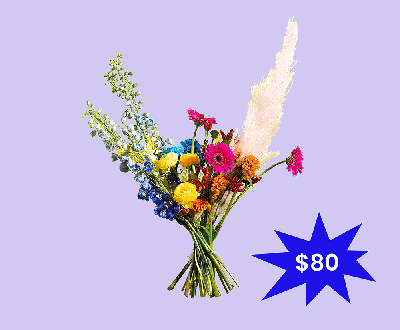 Image of MAHAL KITA- Not-So-Classic-Dozen Roses